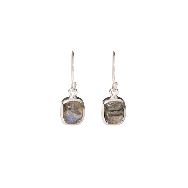 Labradorite and Silver Dangle Earrings Sm/M