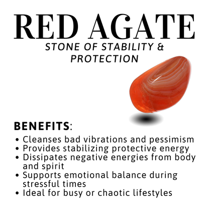 Red Agate and Gold Fill Earrings